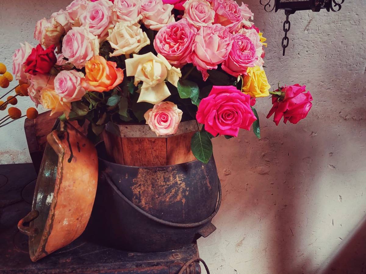 Hacienda La Compania