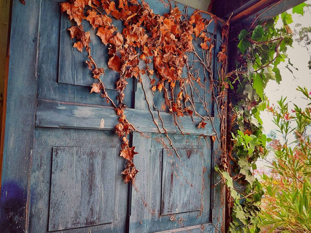 Hacienda Santa Rosa de Cuendina&nbsp;(Abandoned)